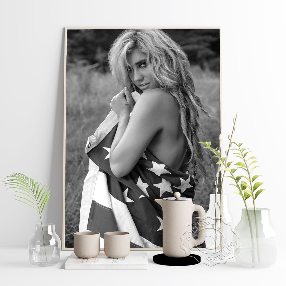 America Popular Music Singer K - Vintage Collectible Posters recensie en prijs