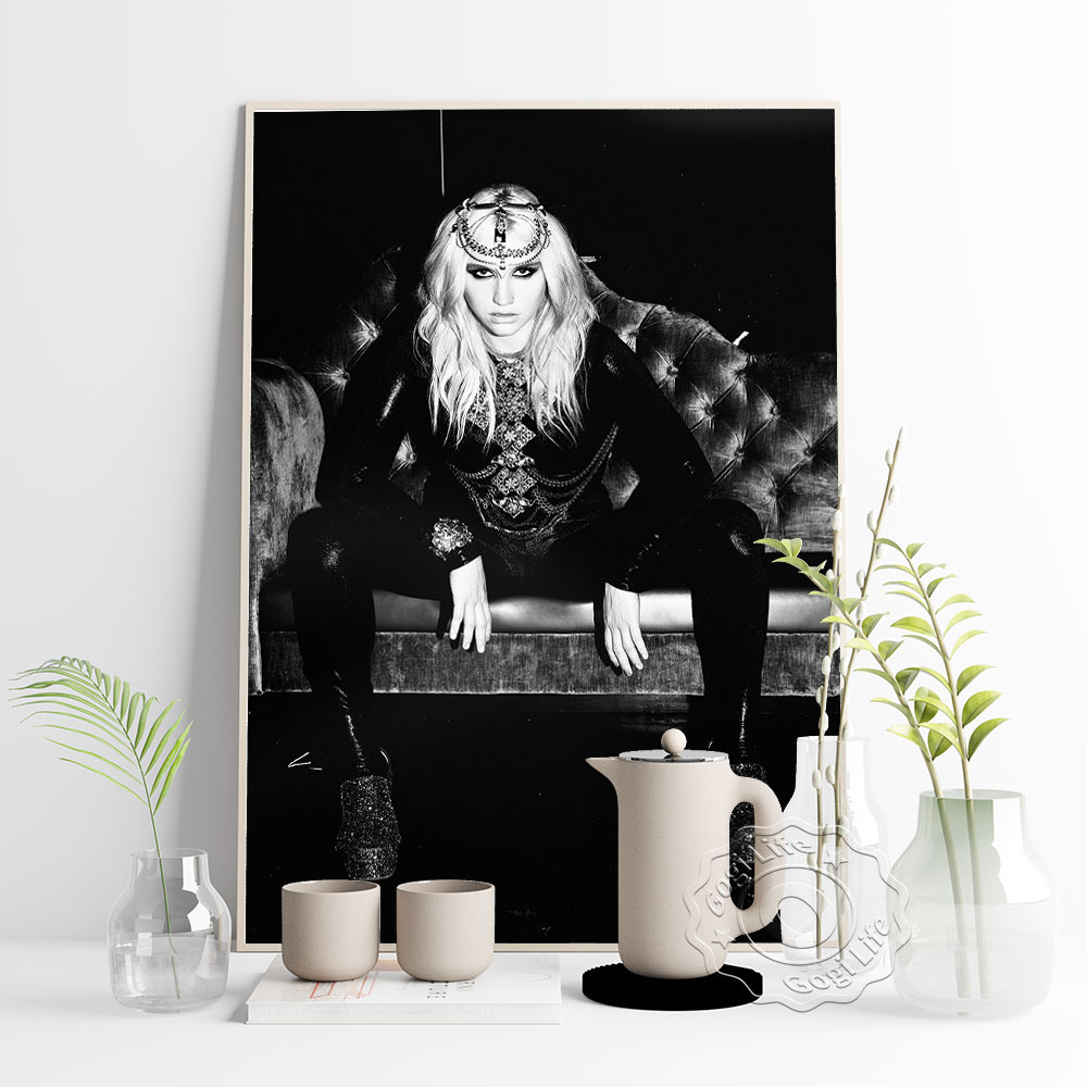 America Popular Music Singer K - Vintage Collectible Posters recensie en prijs