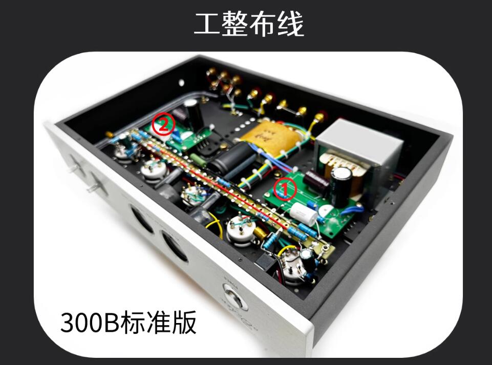 Oldchen 300B 9W*2 Tube Amplifi - Tube Amplifier Part recensie en prijs